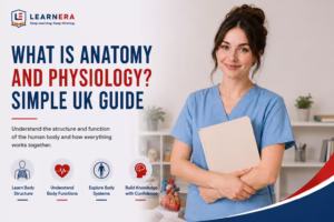 What Is Anatomy and Physiology Simple UK Guide Blog Feature Image