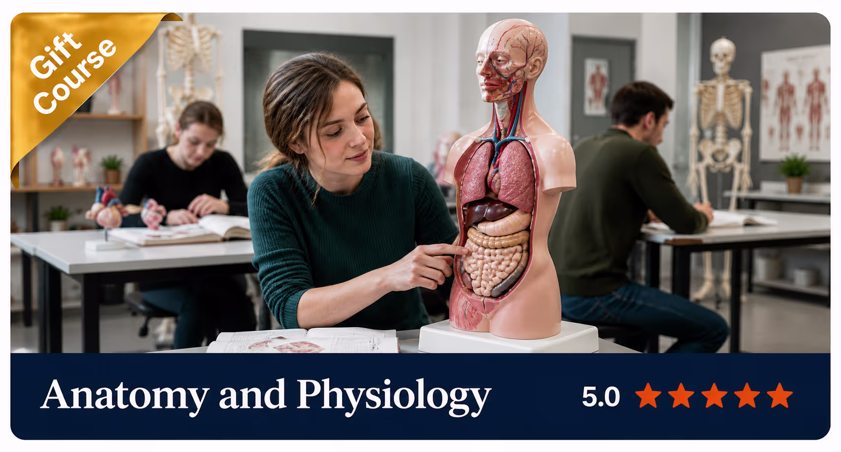 Anatomy and Physiology